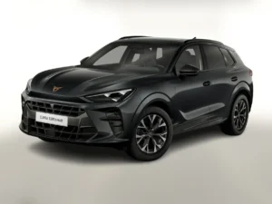 Terramar 1.5 eTSI DSG